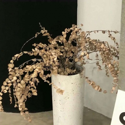 天台FurryQQ群介绍